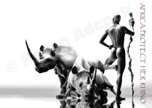 RhinoScene10